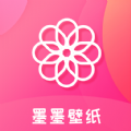 海豚加速器怎么样